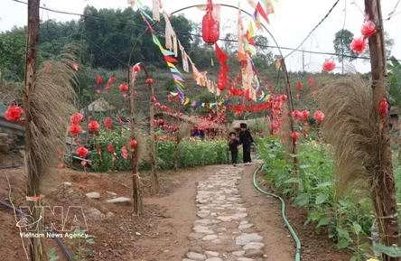 Bac Hoa village: A rising community tourism destination in Bac Ninh